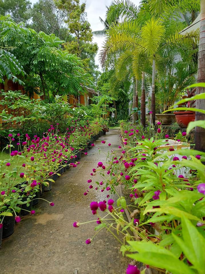 azura-resort-view-loi-di